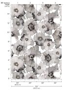 Phillip Jeffries - L Bloom - Image 2