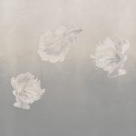 Phillip Jeffries - Afloat & Bubble