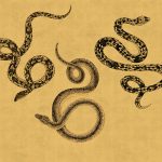 Phillip Jeffries - Serpent - Image 5