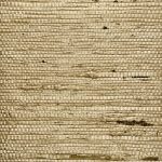 Phillip Jeffries - Extra Fine Arrowroot - Image 31