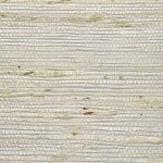 Phillip Jeffries - Extra Fine Arrowroot - Image 17