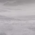 Phillip Jeffries - Untamed - Image 9