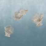 Phillip Jeffries - Afloat & Bubble - Image 7