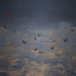 Phillip Jeffries - Butterfly Sky - Image 8
