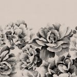 Phillip Jeffries - Perfect Peonies - Image 7