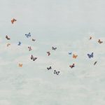 Phillip Jeffries - Butterfly Sky