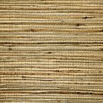 Phillip Jeffries - Grass Roots - Image 13