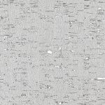 Phillip Jeffries - Enchanted Woods - Image 14