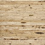 Phillip Jeffries - Extra Fine Arrowroot - Image 18