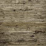 Phillip Jeffries - Extra Fine Arrowroot - Image 19