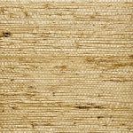 Phillip Jeffries - Extra Fine Arrowroot - Image 5